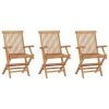 Folding Patio Chairs 3 pcs Solid Teak Wood